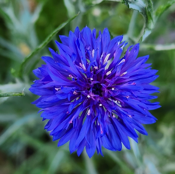 Make us offers!!! - Picture 2 of 8